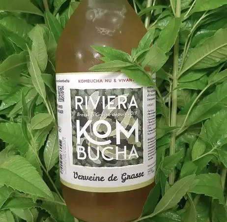 Riviera Kombucha